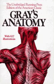 Cover of Anatomy